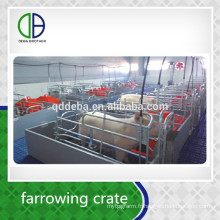 Approvisionnement d&#39;usine Galvanized Pig Sow FarrowingHouse pour le cochon